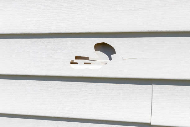 Historical Building Siding Restoration in Parkwood, CA