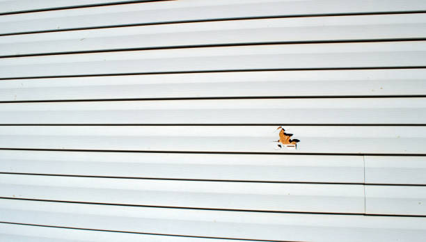 Best Custom Siding Design  in Parkwood, CA