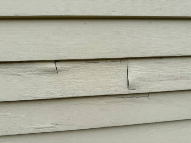 Affordable siding repair and maintenance services in Parkwood, CA
